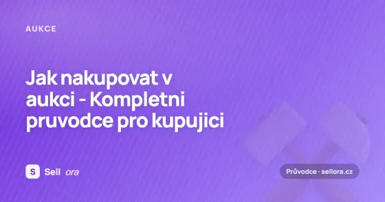 Jak nakupovat v aukci – kompletní průvodce pro kupující