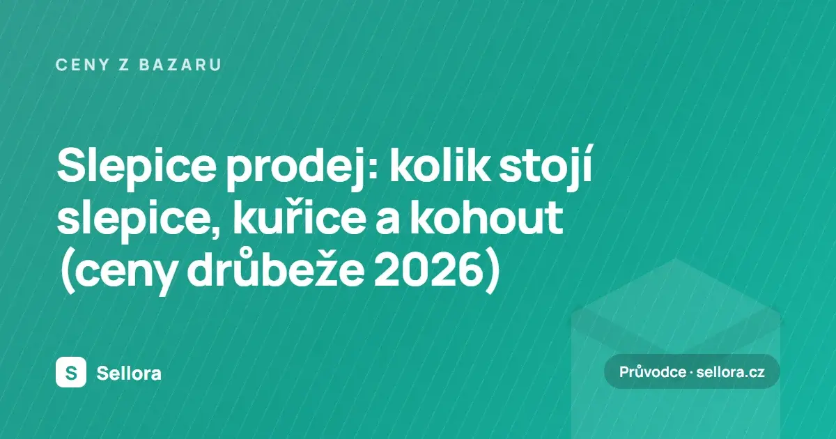 Slepice prodej: kolik stojí slepice, kuřice a kohout (ceny drůbeže 2026)