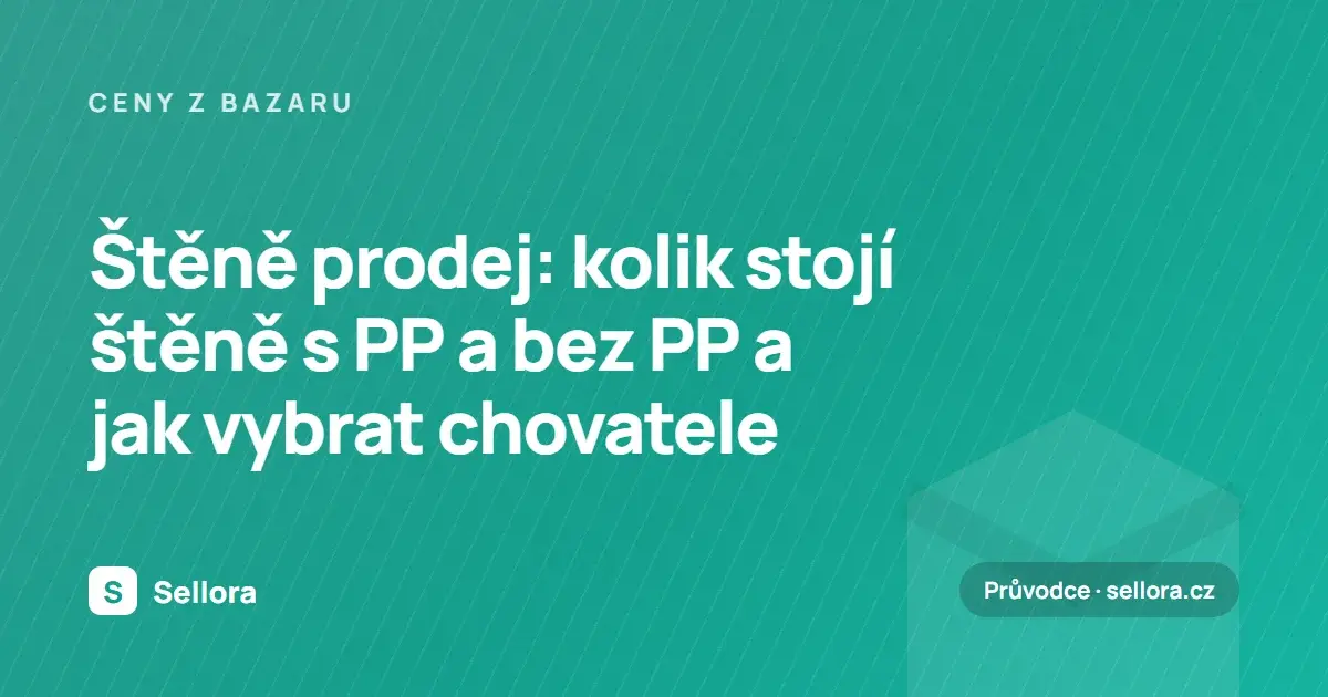 Štěně prodej: kolik stojí štěně s PP a bez PP a jak vybrat chovatele (2026)