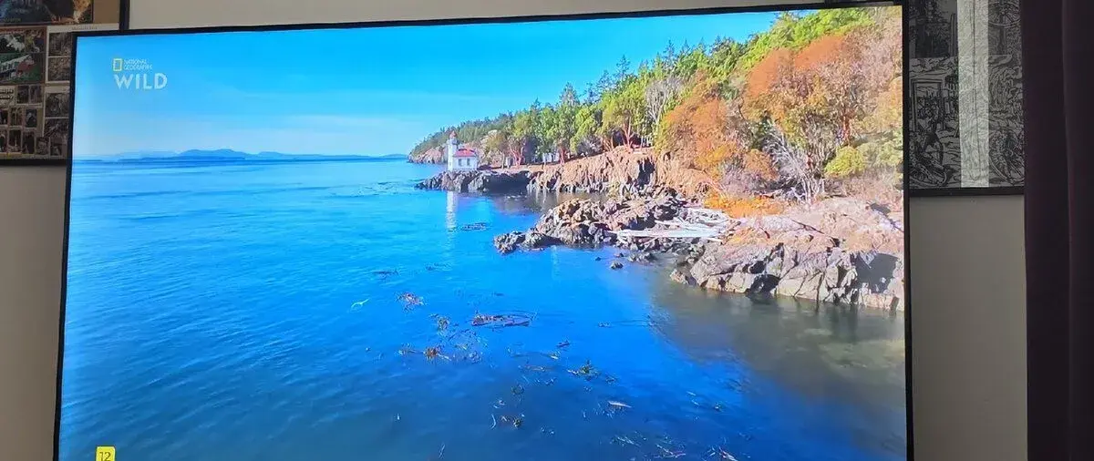 Televize TCL 55P637