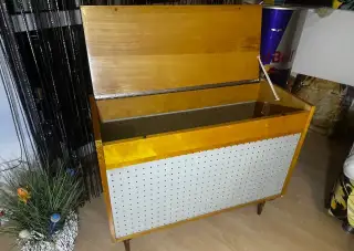 Retro perinak