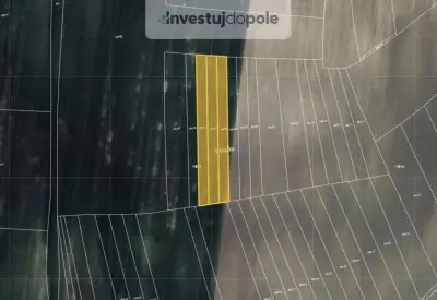 Prodej pole v k.ú. Olovnice