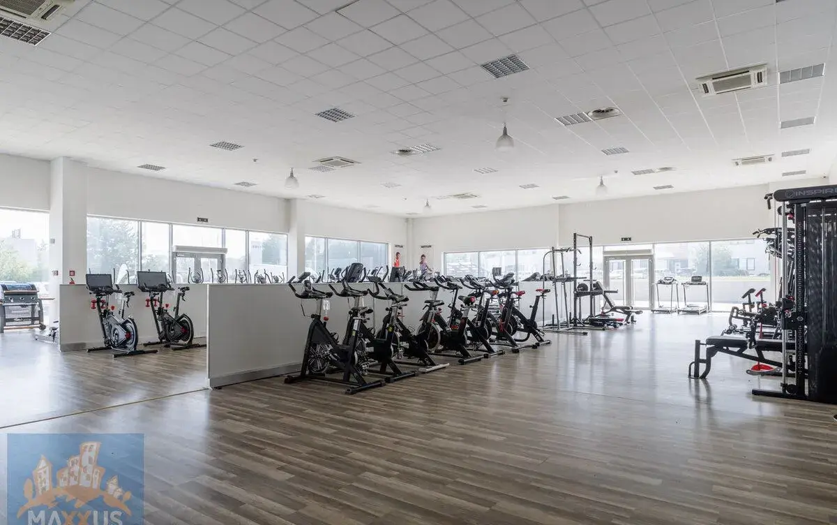 Pronájem obchodních prostor/showroomu (490,9 m2), SHOP PARK