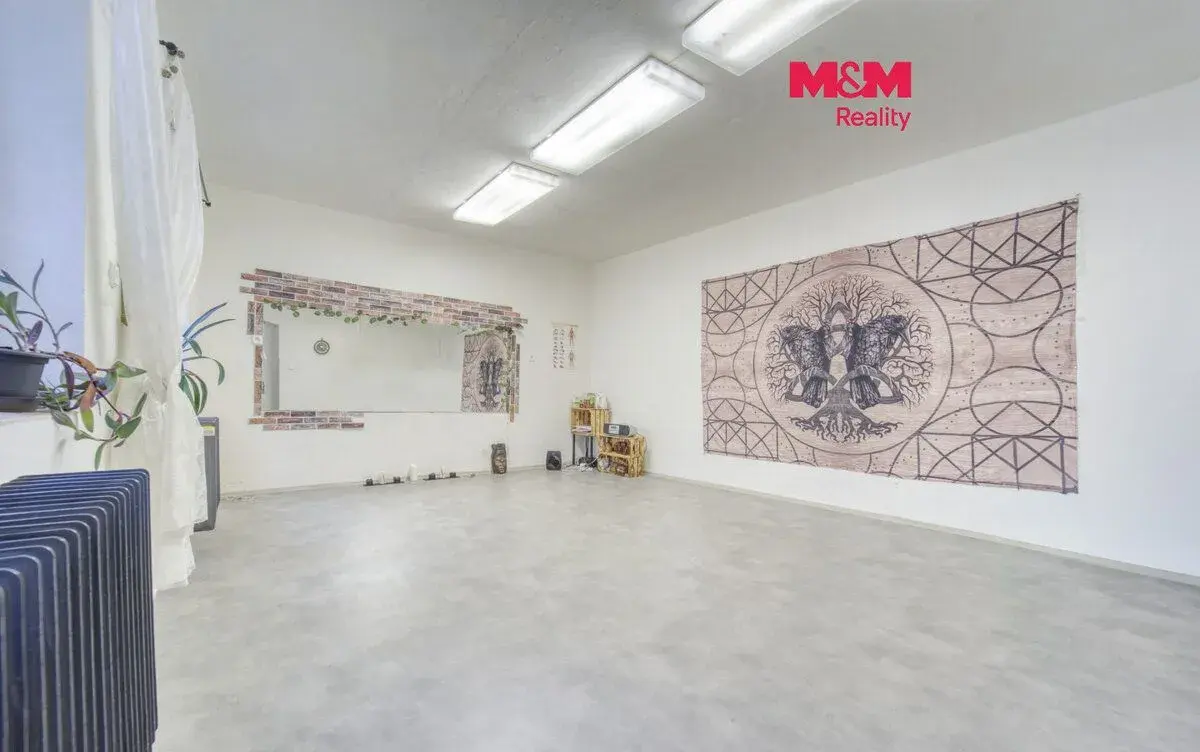 Pronájem obchod a služby, 95 m², Plzeň, ul. Veleslavínova