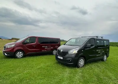 Renault Trafic – 2019
