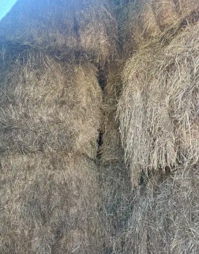 Seno hranaté balíky