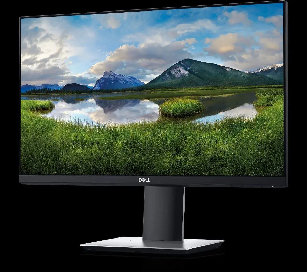 23" Monitor DELL P2319H
