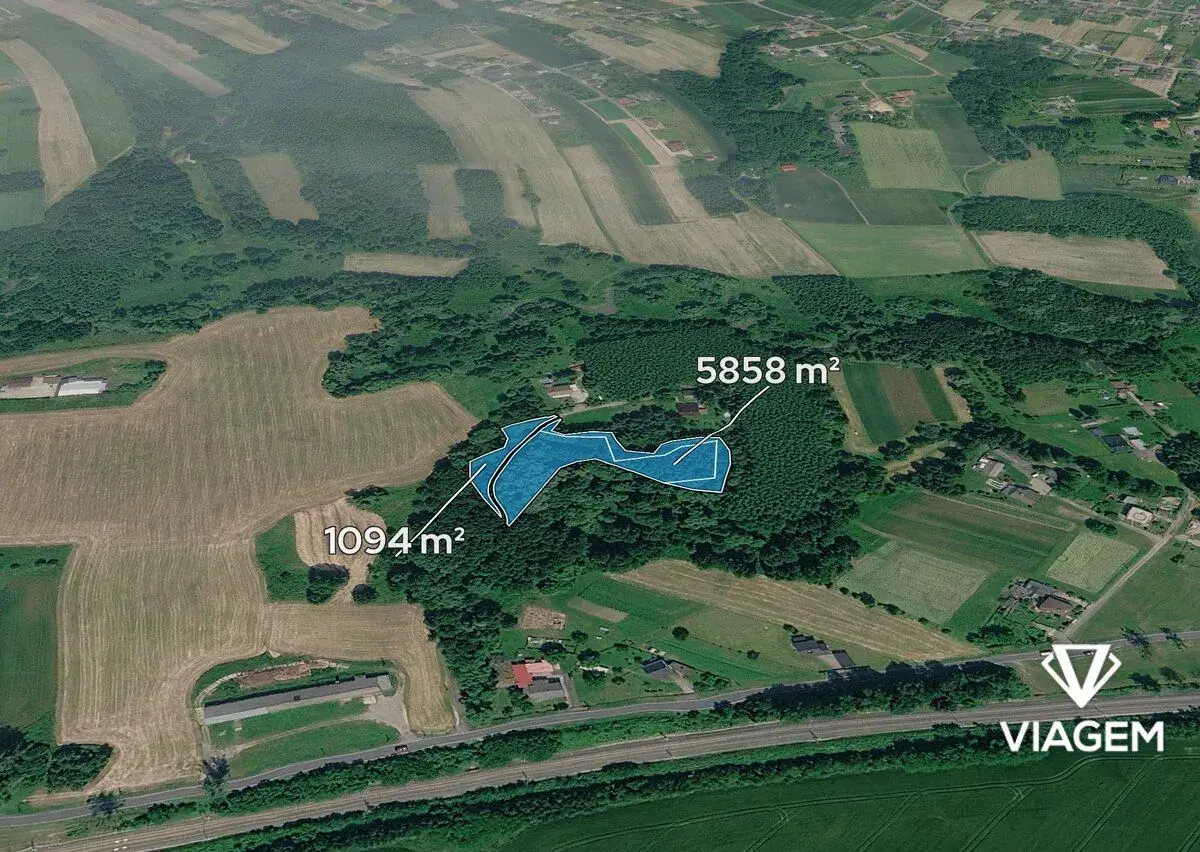 Les 6 952 m², Podíl 38 % o výměře 2 607 m²