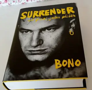 Kniha: BONO - Surrender - 40 písní, jeden příběh