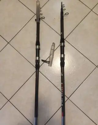 Pruty carp extreme