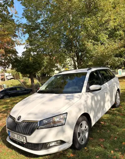 Škoda Fabia – 2019, 131 000 km