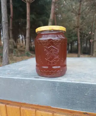 Domácí med lesní - medovicový