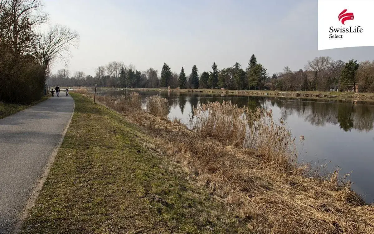 Prodej pozemku 4264 m2 Přístavní, Čelákovice