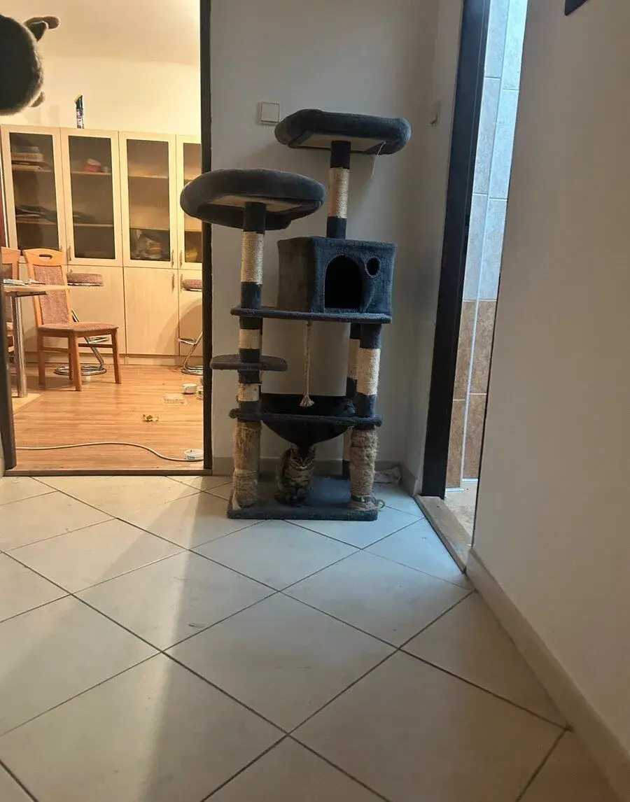 Kocourek Plzeňsko