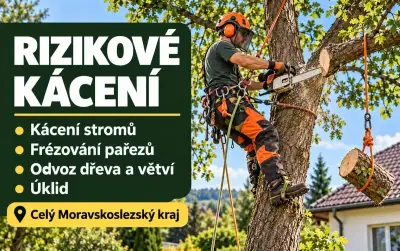 Kácení stromů, rizikové kácení a frézování pařezů