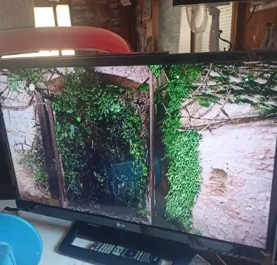 Televize LG