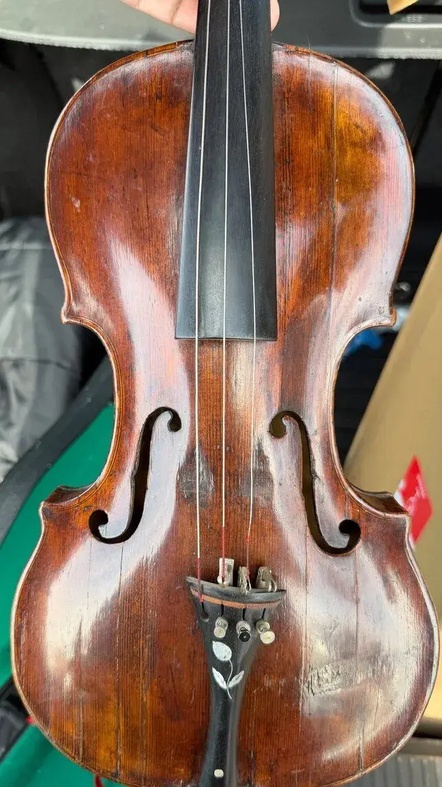 Housle,violu,violoncello,kontrabas