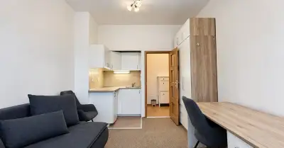 Pronájem 1+kk na ul. Tučkova, Brno - Veveří