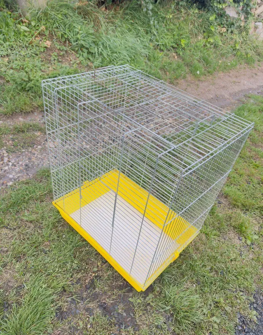 Klec pro papouška žlutá