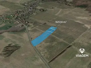 Sad 16 514 m², Podíl 18 % o výměře 2 982 m²