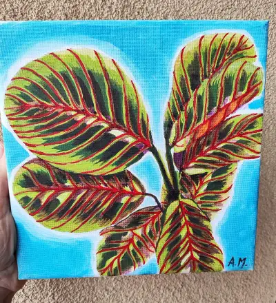 Maranta - olejomalba na plátně 20x20cm
