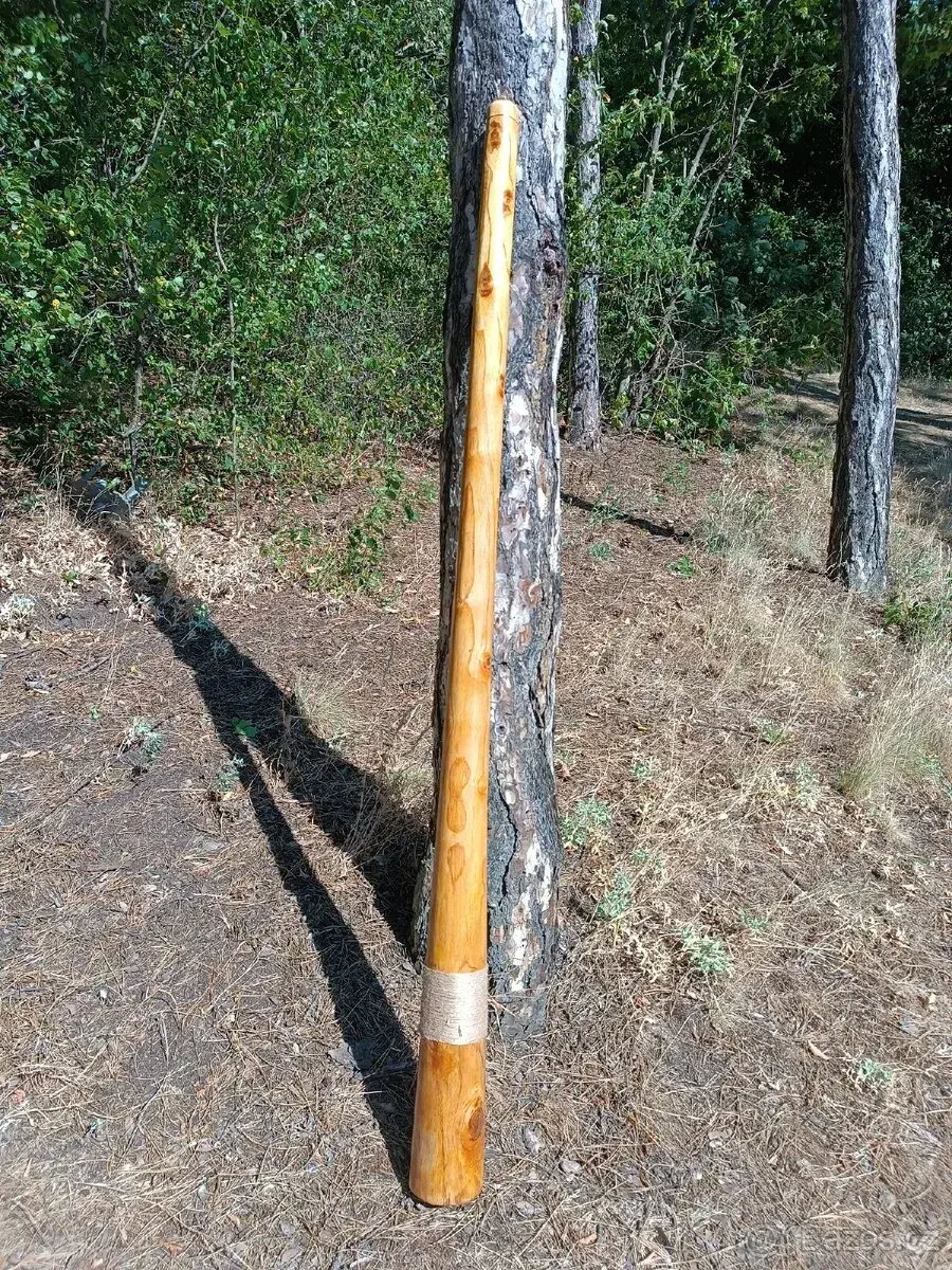 Didgeridoo D