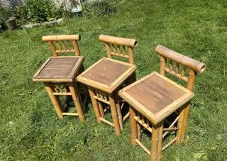 Bambusové barovky