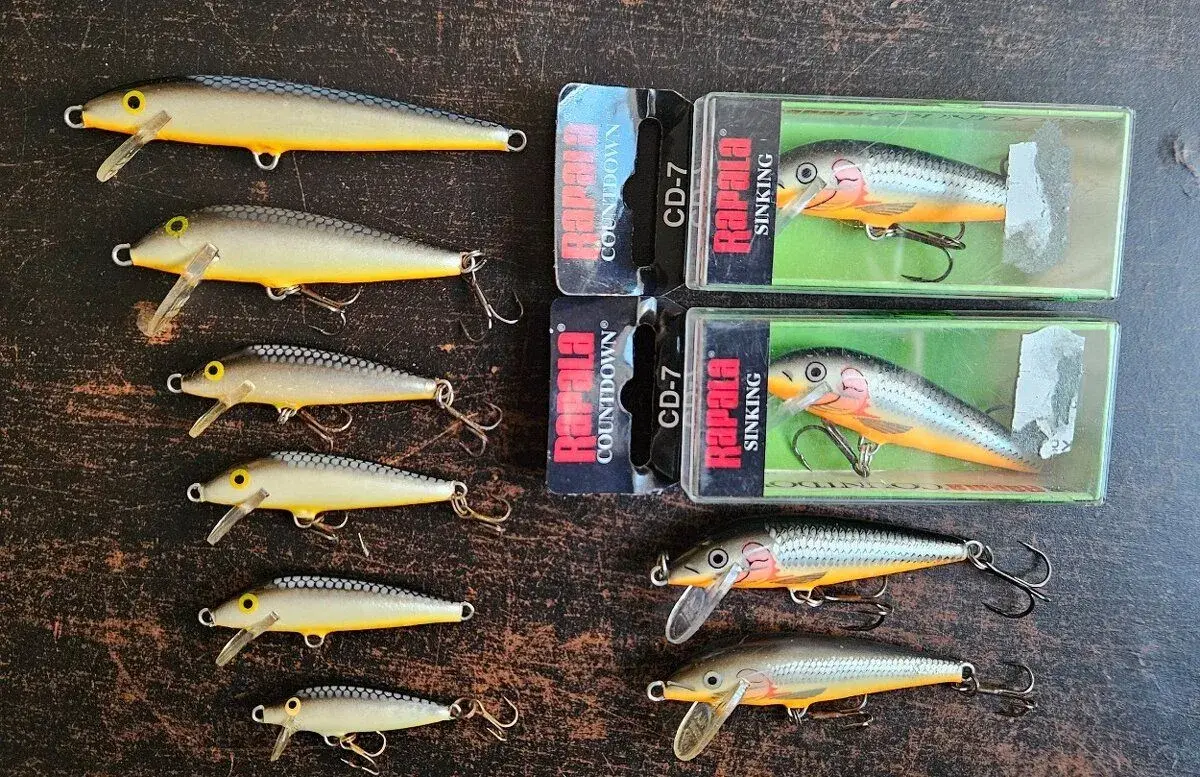 10x Rapala SS/SSH