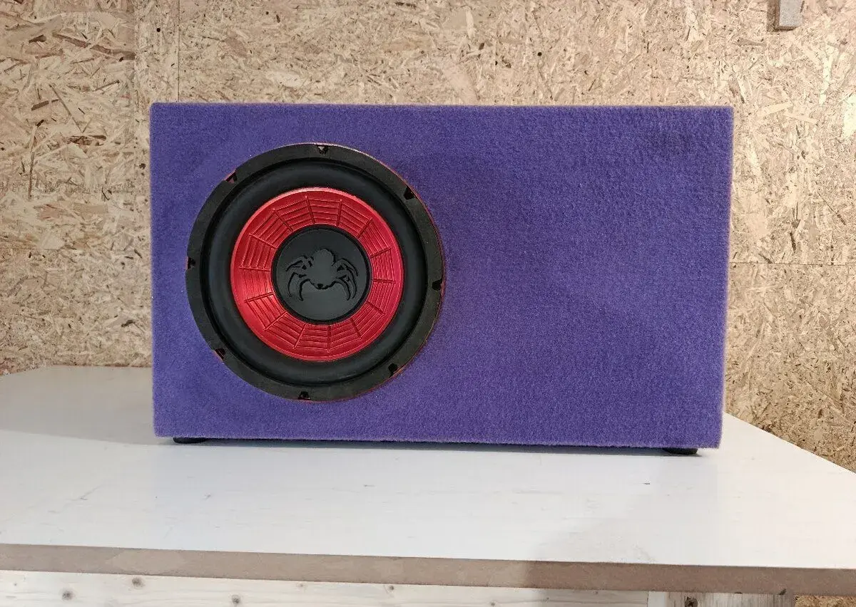 Subwoofer 10"