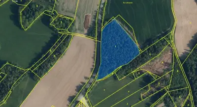 Lesní pozemek a ostatní plochu v k.ú. Mukařov u Jablo