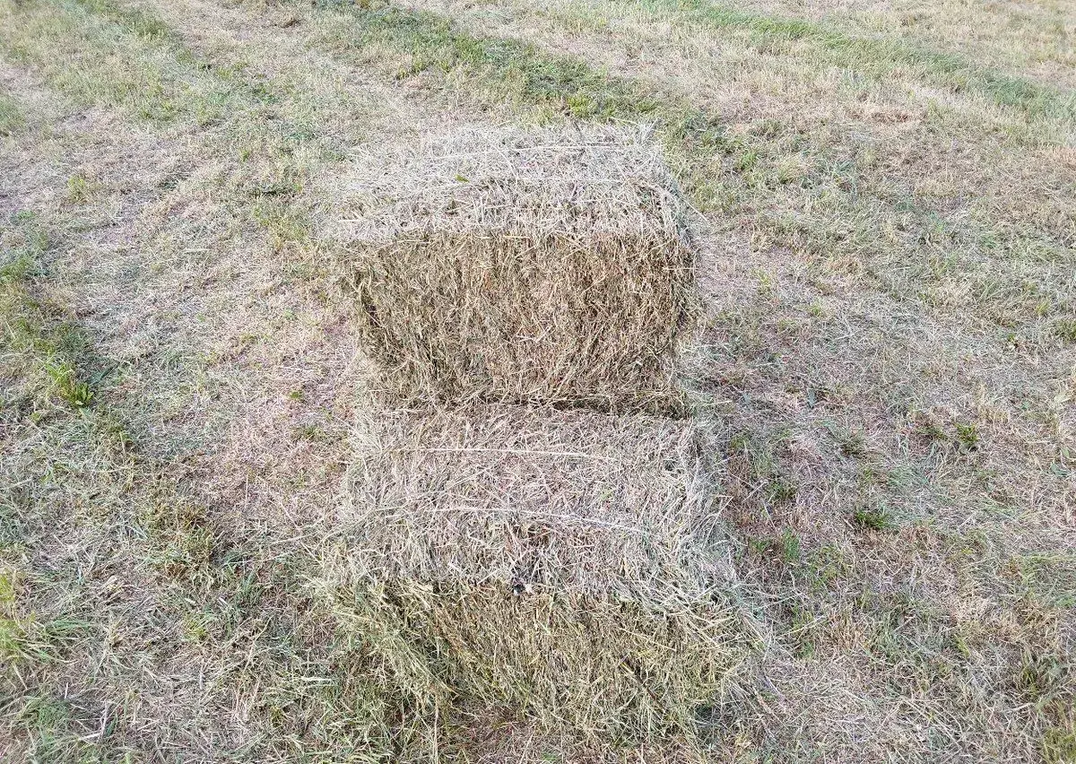 Malé hranaté balíky sena popř. Otavy