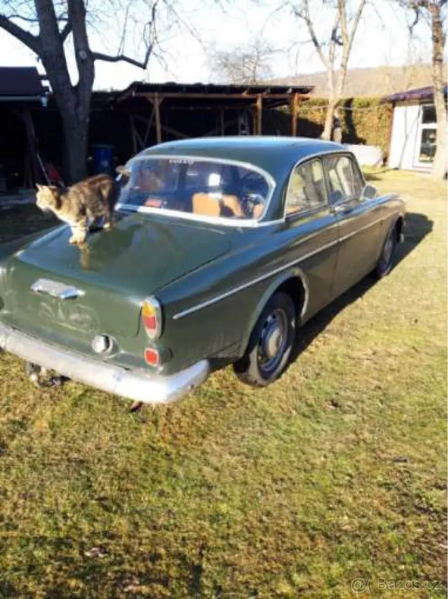 Volvo Amazon