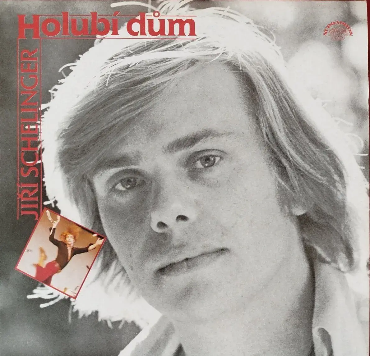 LP JIŘÍ SCHELINGER / Holubí dům