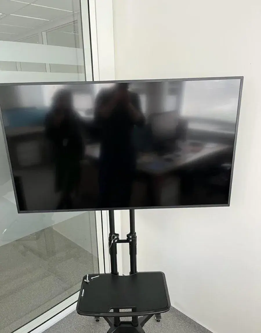 monitor Panasonic TH-50EQ1W, 2 kusy