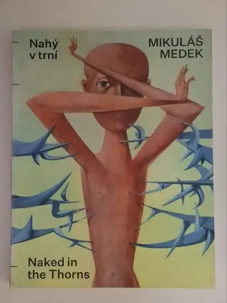 Mikuláš Medek: Nahý v trní (Katalog NG)