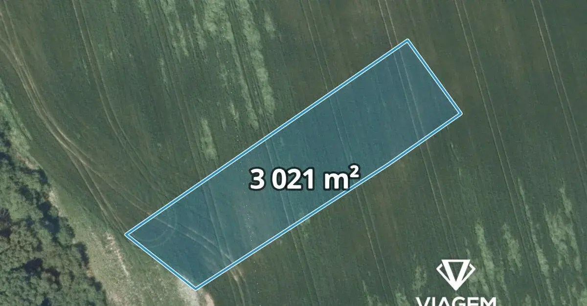 Pole 3 021 m², Podíl 25 % o výměře 755 m²
