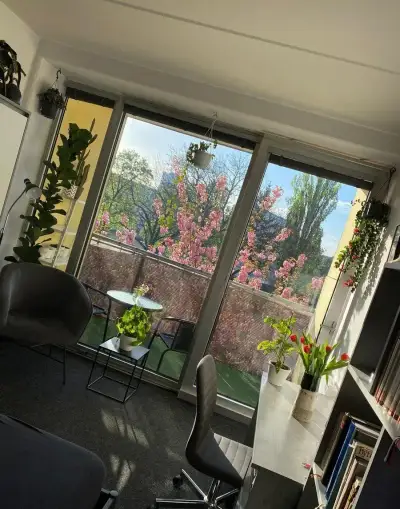 Pronájem bytu 1+kk 32m Olomouc