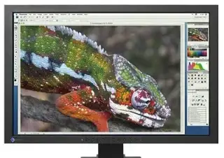EIZO S2243W kalibrovatelný monitor 22"