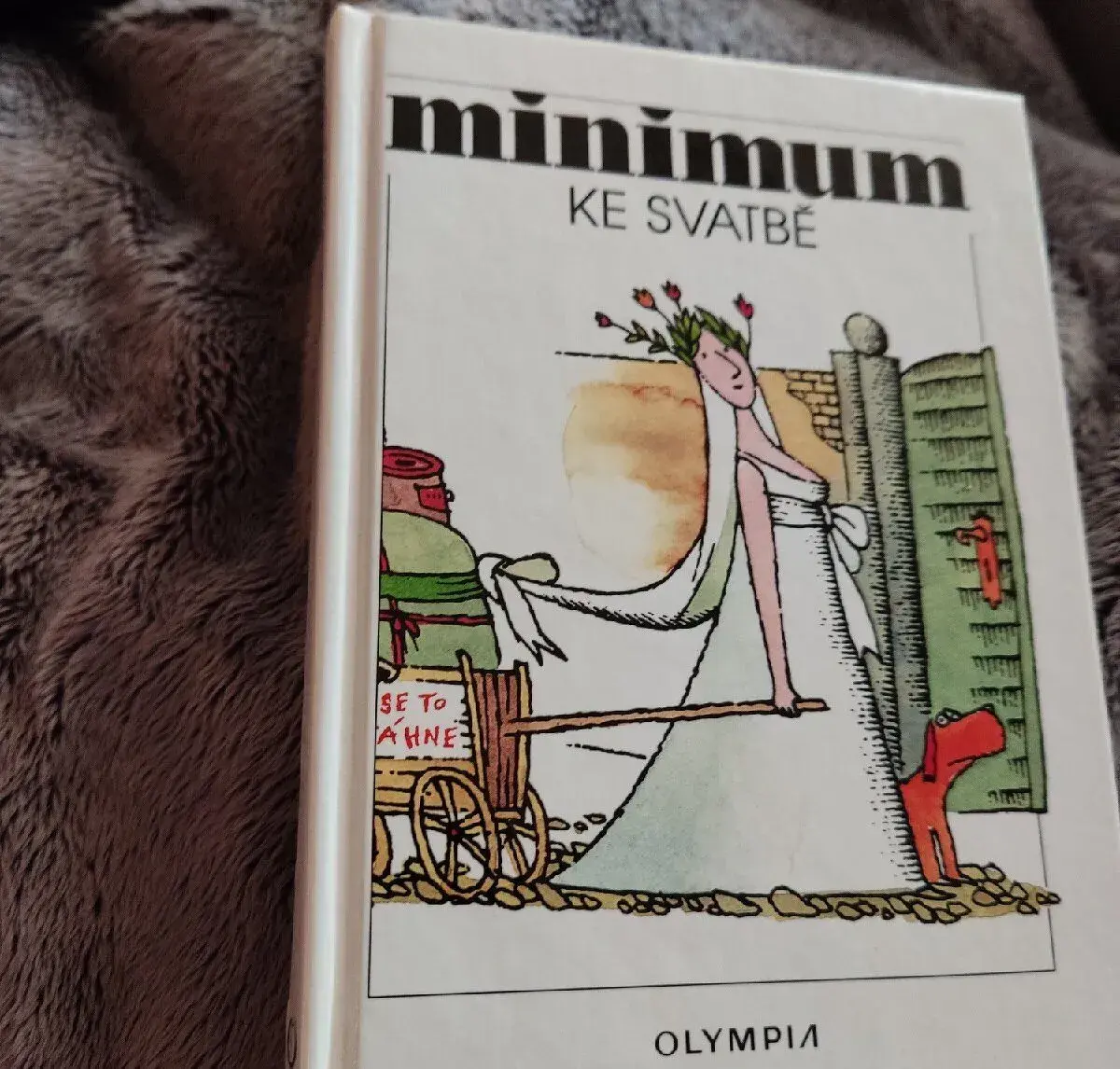 Knížečka