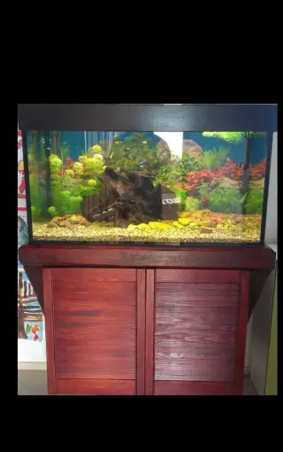 Závěsná skříňka pod akvárium 100×50 cm (ocelový rám+masiv)