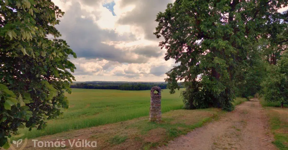 Prodej pole v Moravském Krasu – 3 748 m2 – Suchdol