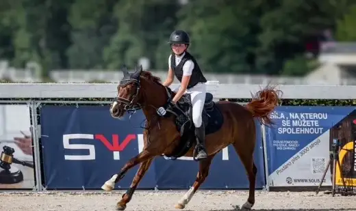 PONY Talent 2026 - pony A do sportu