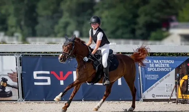 PONY Talent 2026 - pony A do sportu