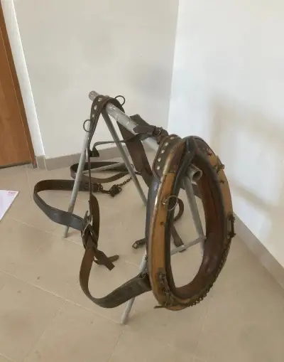 Chomoutové postroje
