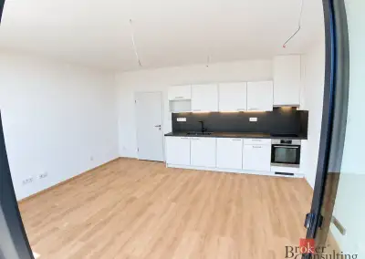 Pronájem, byty/1+kk, 42 m2, Železná 3068/16, 30100 Plzeň, Pl