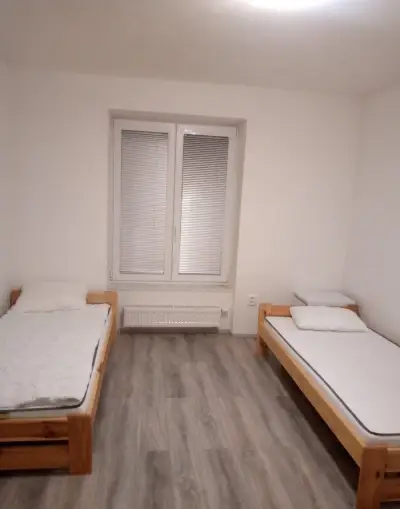 Pronájem lužka v bytě přímo od majitele ve Velké Biteši