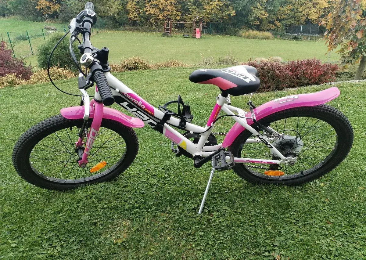 Dětské kolo Dino 20