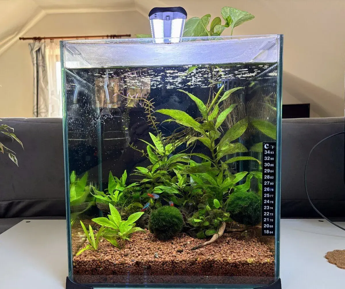 Vybavené akvárium 30l