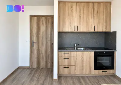 Pronájem pěkného bytu 1KK 27m² na ul. Gen. Janouška, Ostrava