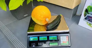 Digitální stolní váha ACS do 40 kg dílek 2g, počítání cen
